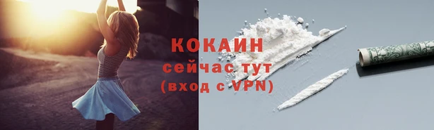 соль курить ск Горняк