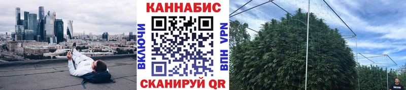 Купить  Тбилисская  Конопля SATIVA & INDICA 